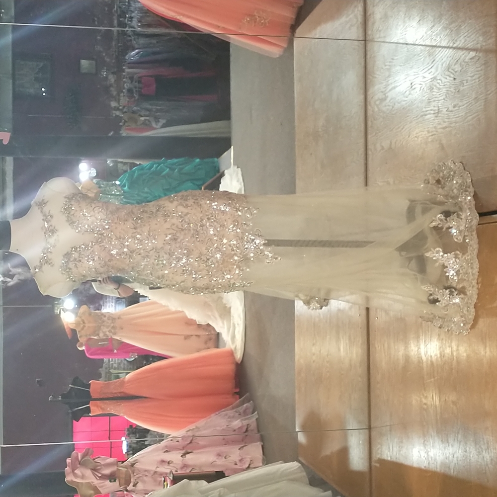 Karishma prom dress